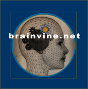 brainvine.net